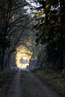 Der Weg hinaus