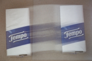 Tempo
