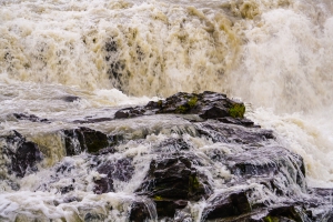 Wasser und Gravitation