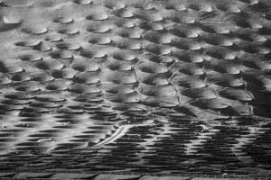 Weinkrater auf Lanzarote